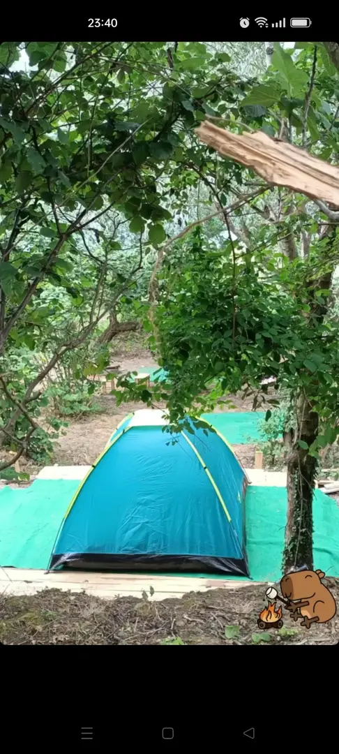 Karavan Park&8d1r Kamp Alan1 — Trabzon — küçük resim 3