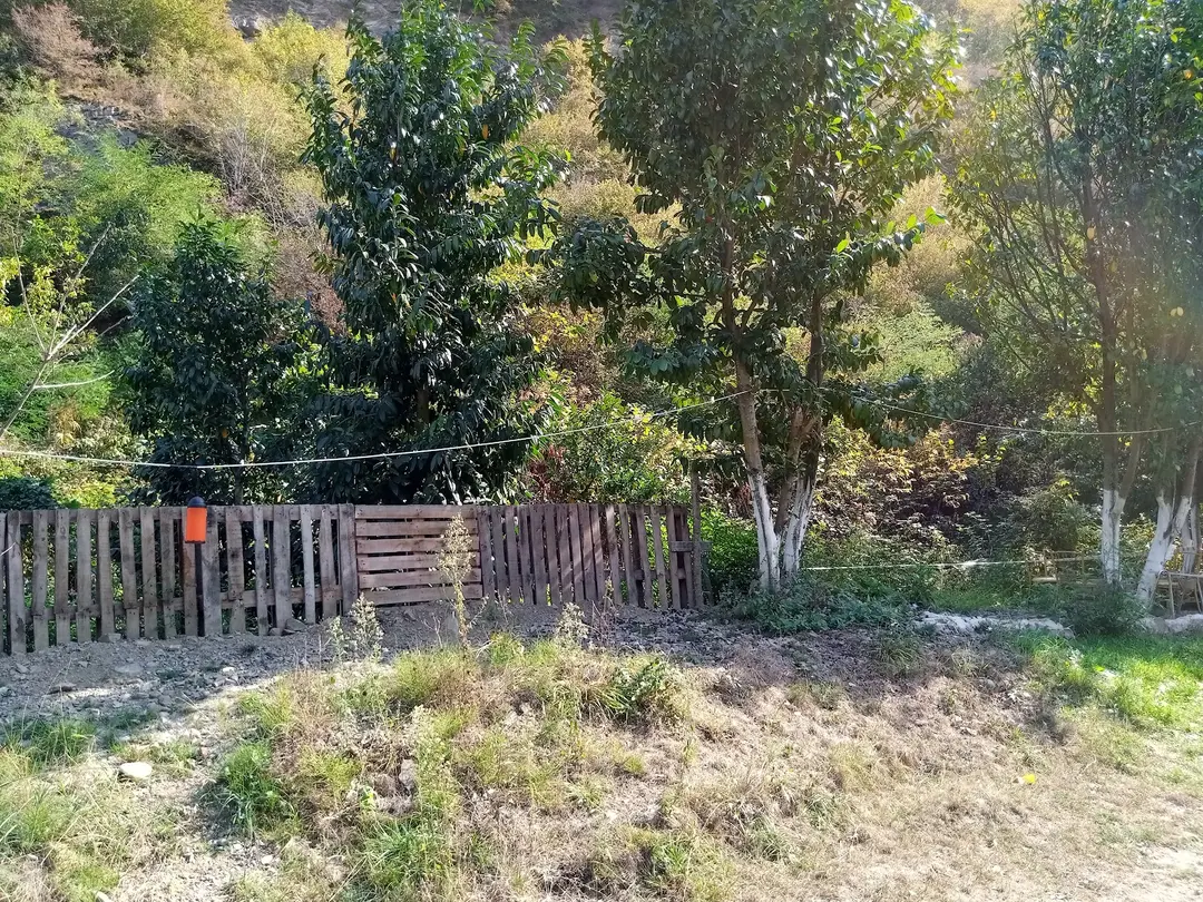 Sümelas Camping — Trabzon — küçük resim 8