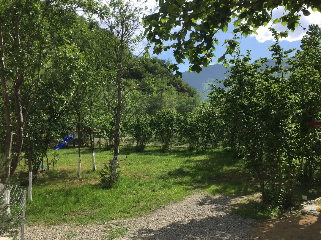 Dereiçi Camping and Restaurant — Trabzon — küçük resim 2