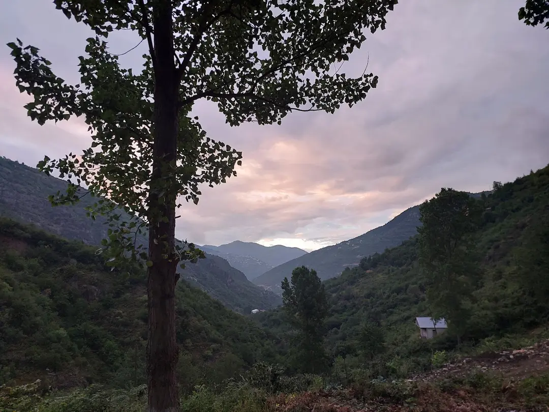 Verizana Restaurant & Camping — Trabzon — küçük resim 10