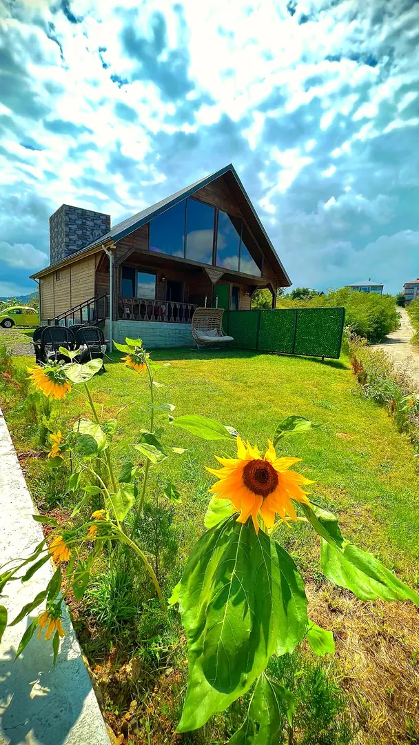 Trabzon Tosun Bungalov — Trabzon — küçük resim 3