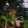 Forest Suite Bungalov