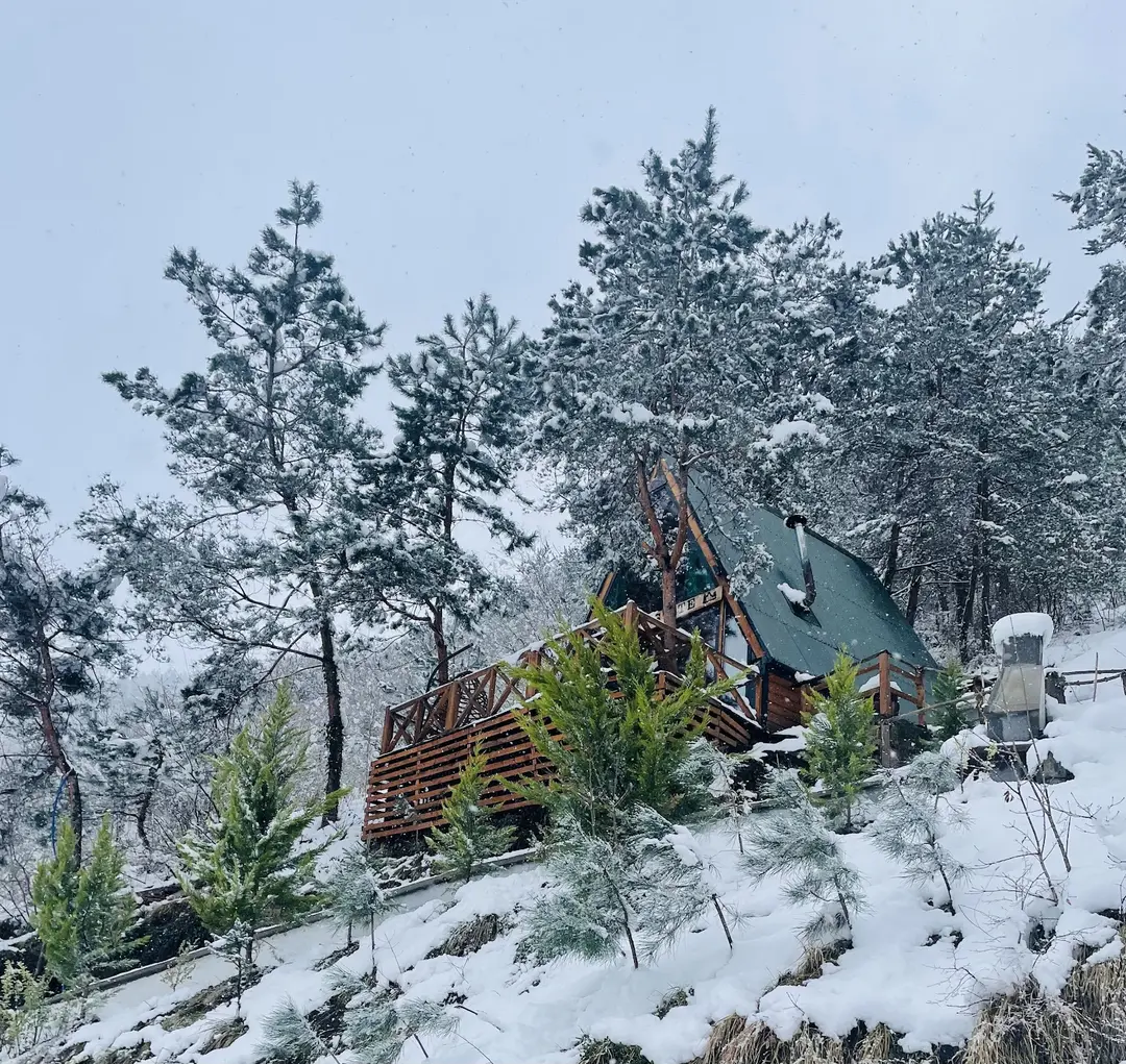 Forest Suite Bungalov — Trabzon — küçük resim 5