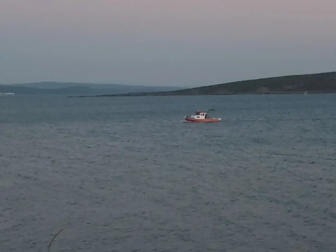 Free Kamp Alanı — İzmir — küçük resim 9