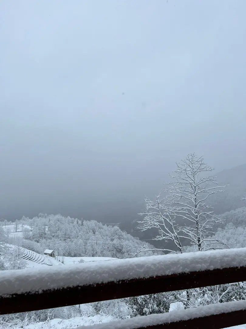 Of Vita Nova Bungalov — Trabzon — küçük resim 3