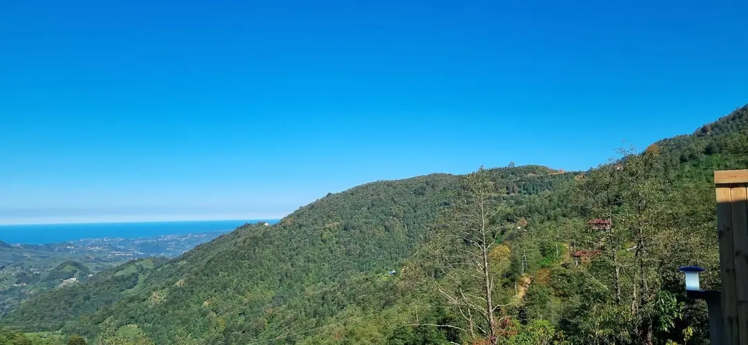 Of Vita Nova Bungalov — Trabzon — küçük resim 4