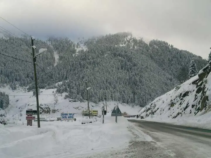 HAMSİKÖY ZİTAŞ BUNGALOV — Trabzon — küçük resim 9