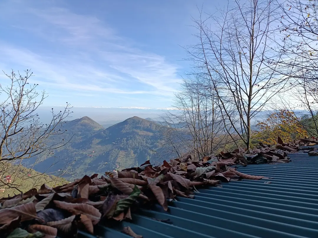 NAZENDE BUNGALOV & MOUNTAIN HOUSE — Trabzon — küçük resim 3