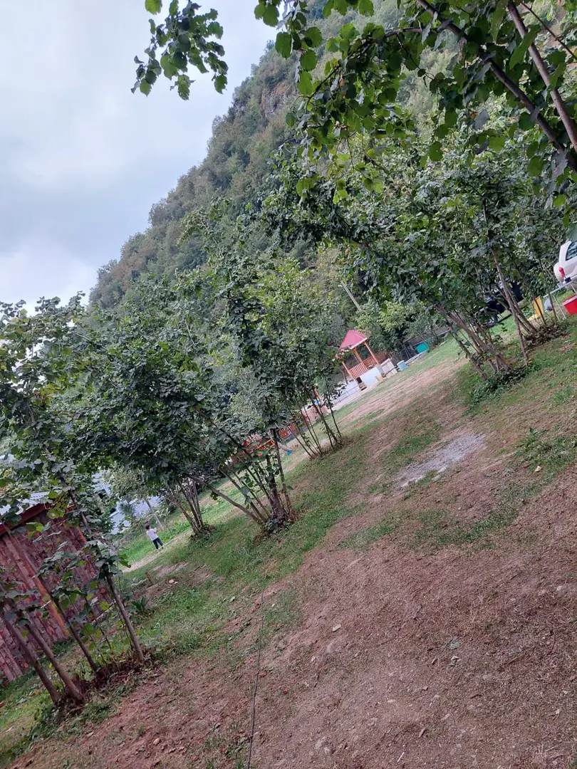 Maçka Camping — Trabzon — küçük resim 9