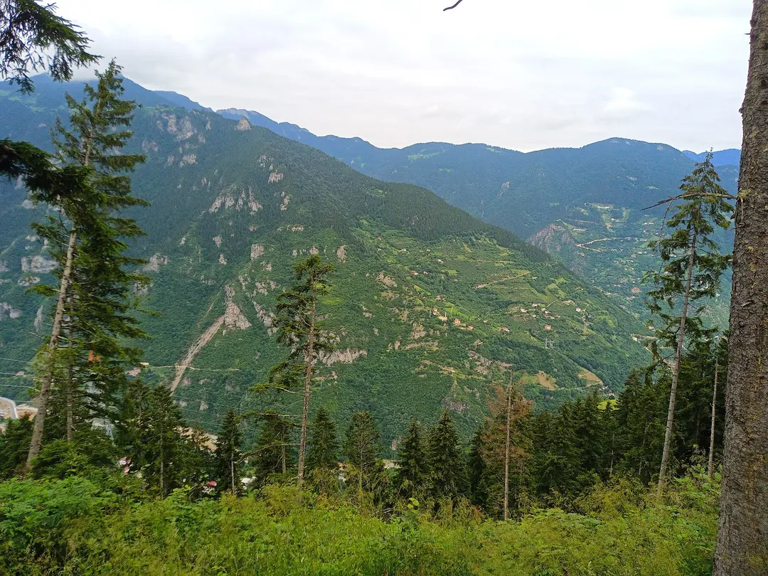 Meşeiçi Camping Alanı — Trabzon — küçük resim 8