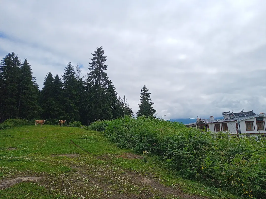 Meşeiçi Camping Alanı — Trabzon — küçük resim 5