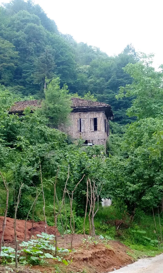 Vatrak — Trabzon — küçük resim 10