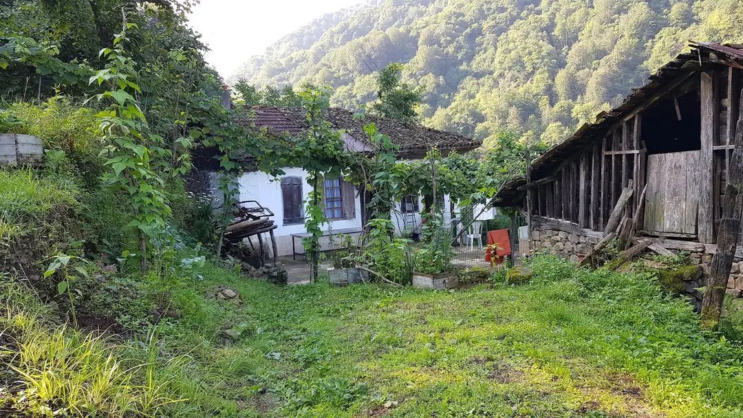 Vatrak — Trabzon — küçük resim 2