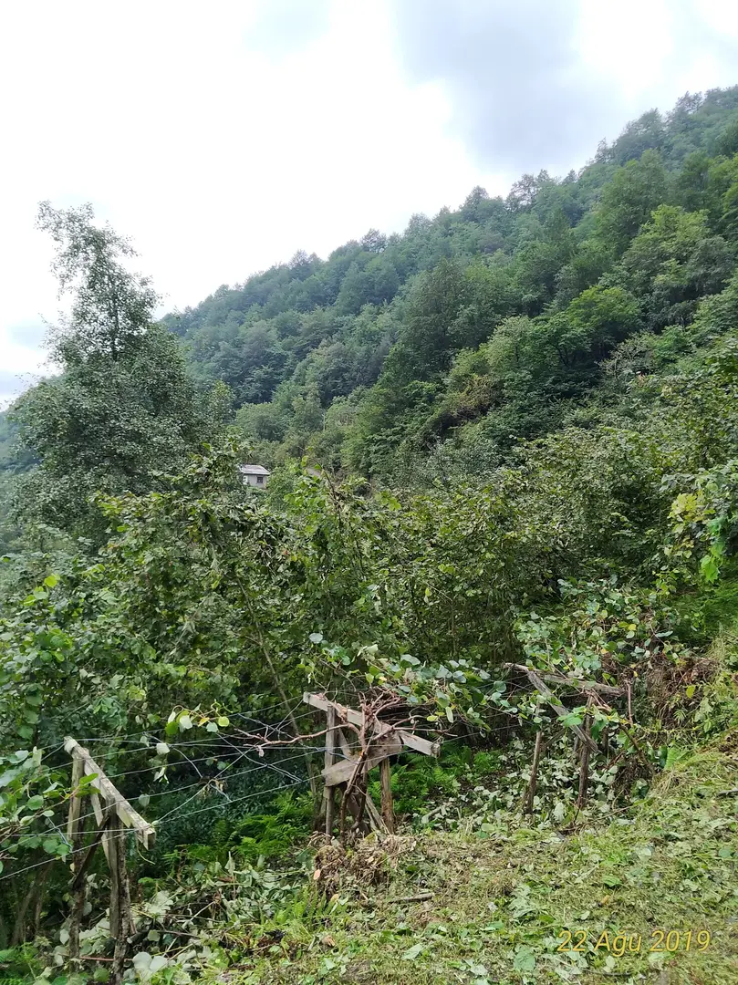 Vatrak — Trabzon — küçük resim 5