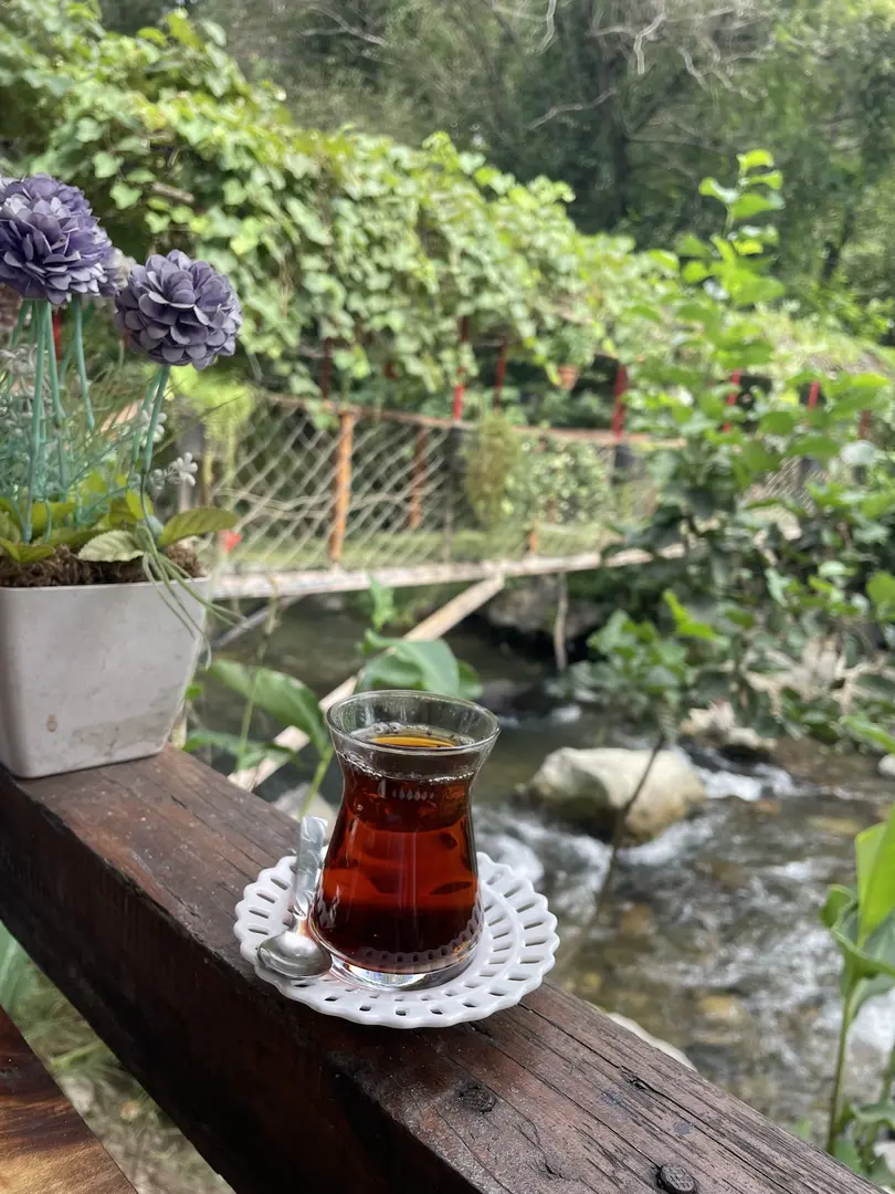 Uşuğumun Yeri - Camping & Picnic & Barbecue — Trabzon — küçük resim 6