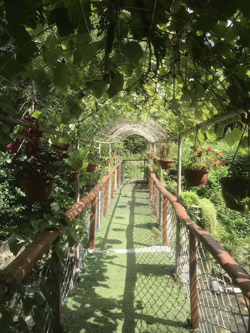 Uşuğumun Yeri - Camping & Picnic & Barbecue — Trabzon — küçük resim 5