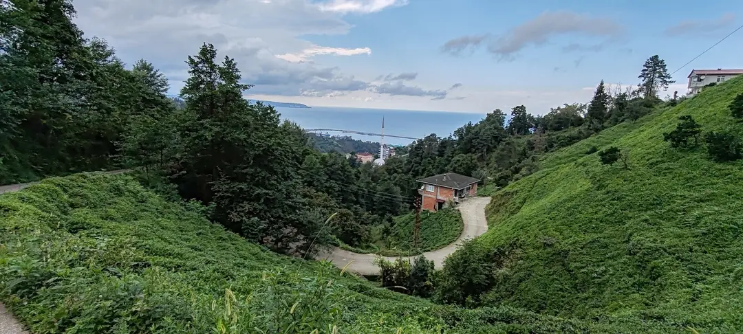 Sürmene Çamburnu Tabiat Parkı — Trabzon — küçük resim 5