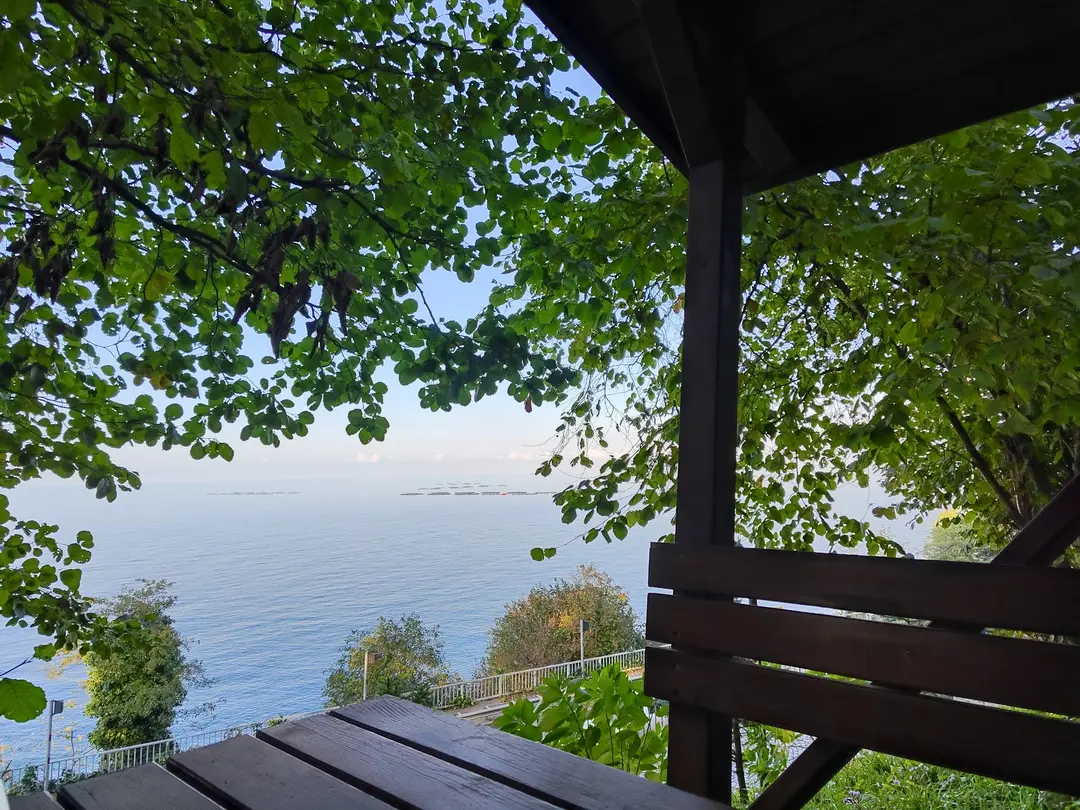 Sürmene Çamburnu Tabiat Parkı — Trabzon — küçük resim 9