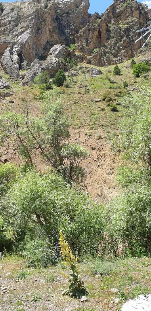 Örenönü Nature Park — Tunceli — küçük resim 10