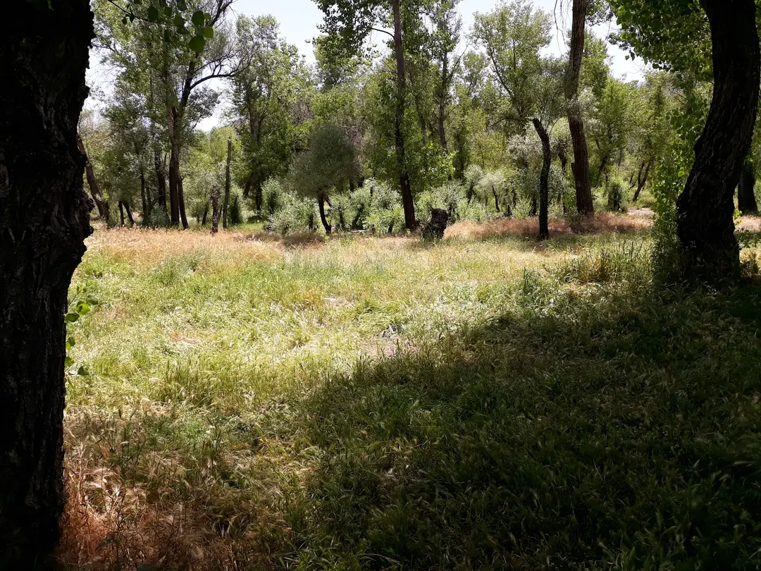 Örenönü Nature Park — Tunceli — küçük resim 3