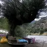 The Geyik Dersim