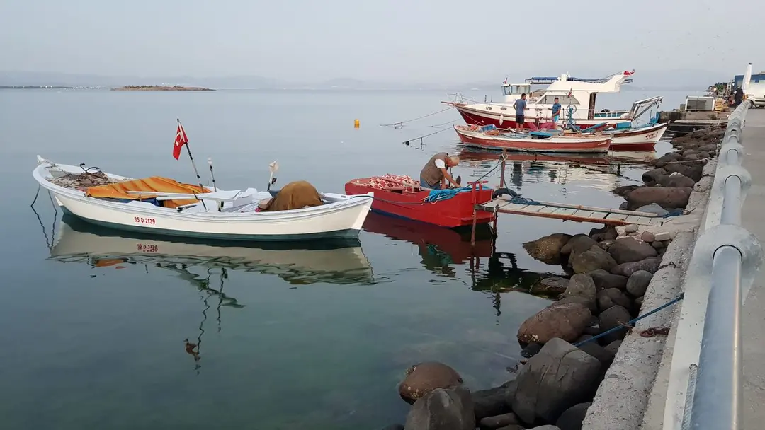 Foça İzmir — İzmir — küçük resim 2