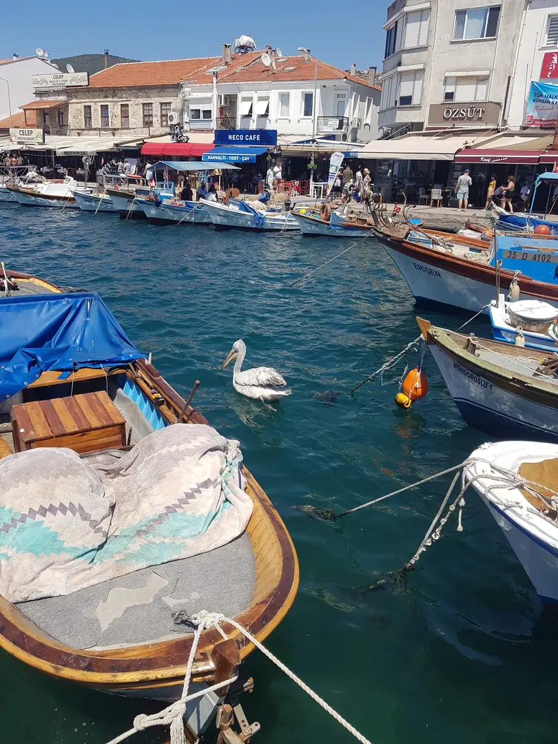 Foça İzmir — İzmir — küçük resim 8