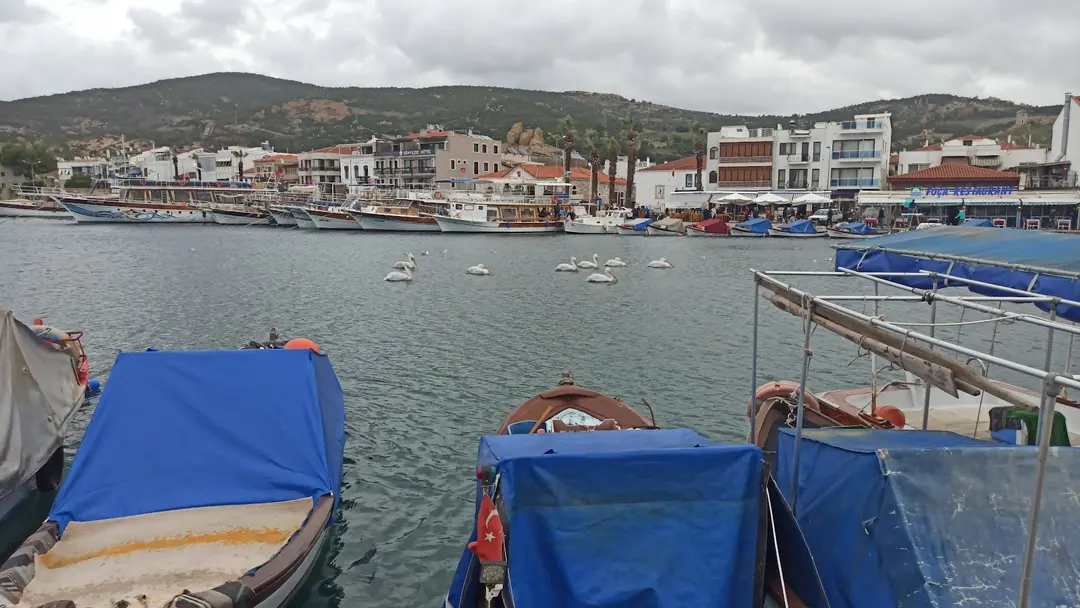 Foça İzmir — İzmir — küçük resim 9