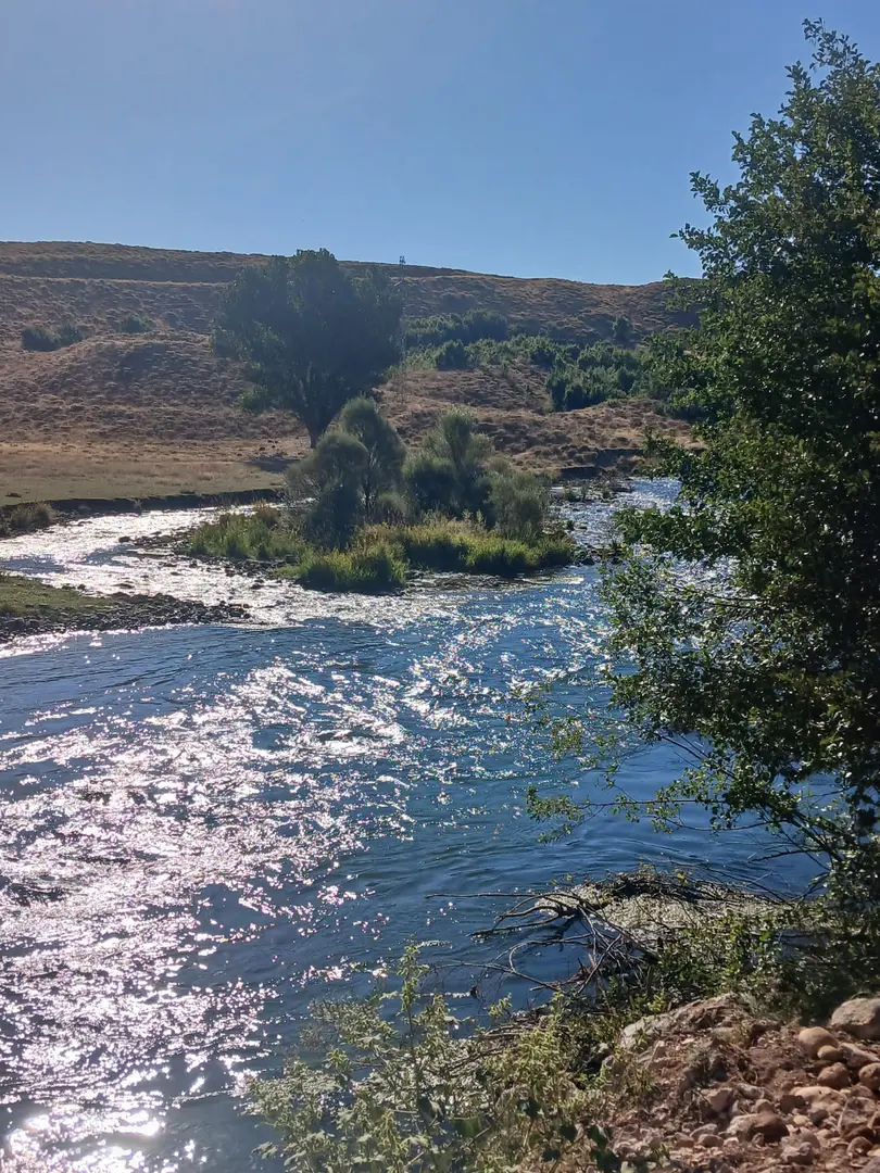 Defne Camping Ovacık