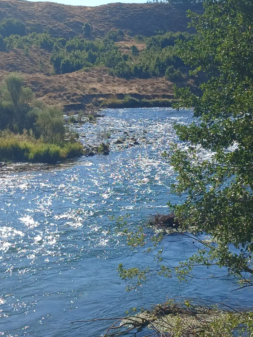 Defne Camping Ovacık — Tunceli — küçük resim 4