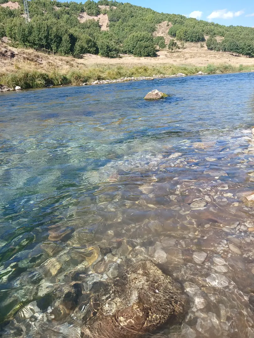 Defne Camping Ovacık — Tunceli — küçük resim 5