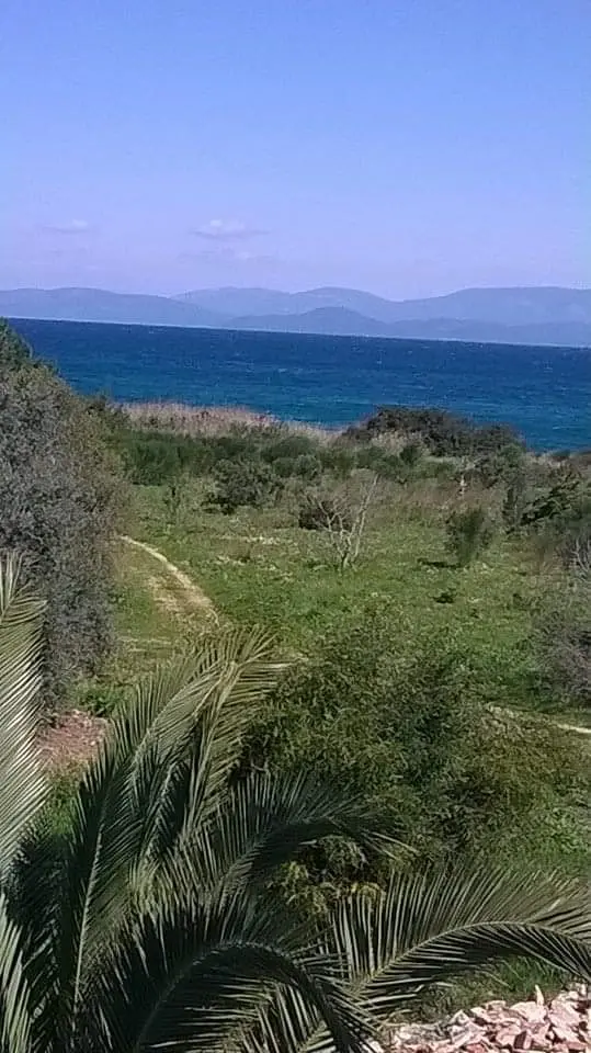Urla Demircili — İzmir — küçük resim 8