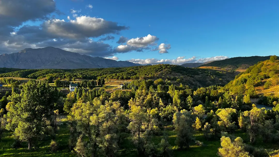 Apeyron Bungalov & Camping — Tunceli — küçük resim 4