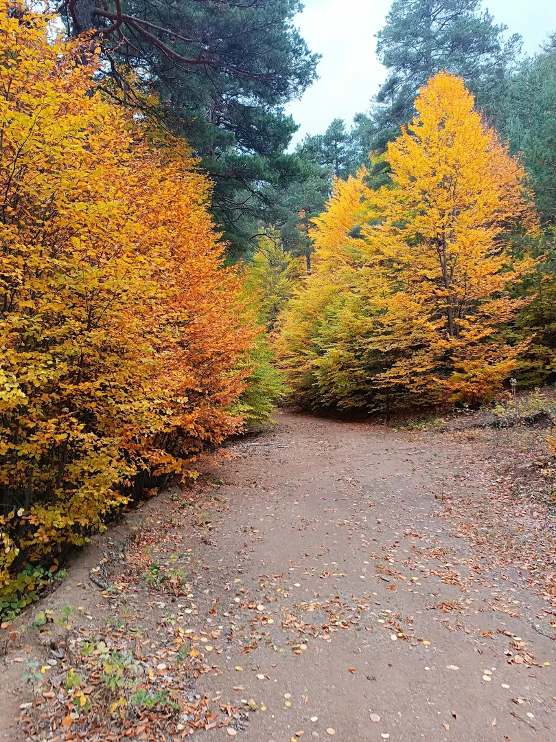 Murat Dağı - Uşak Camping — Uşak — küçük resim 4