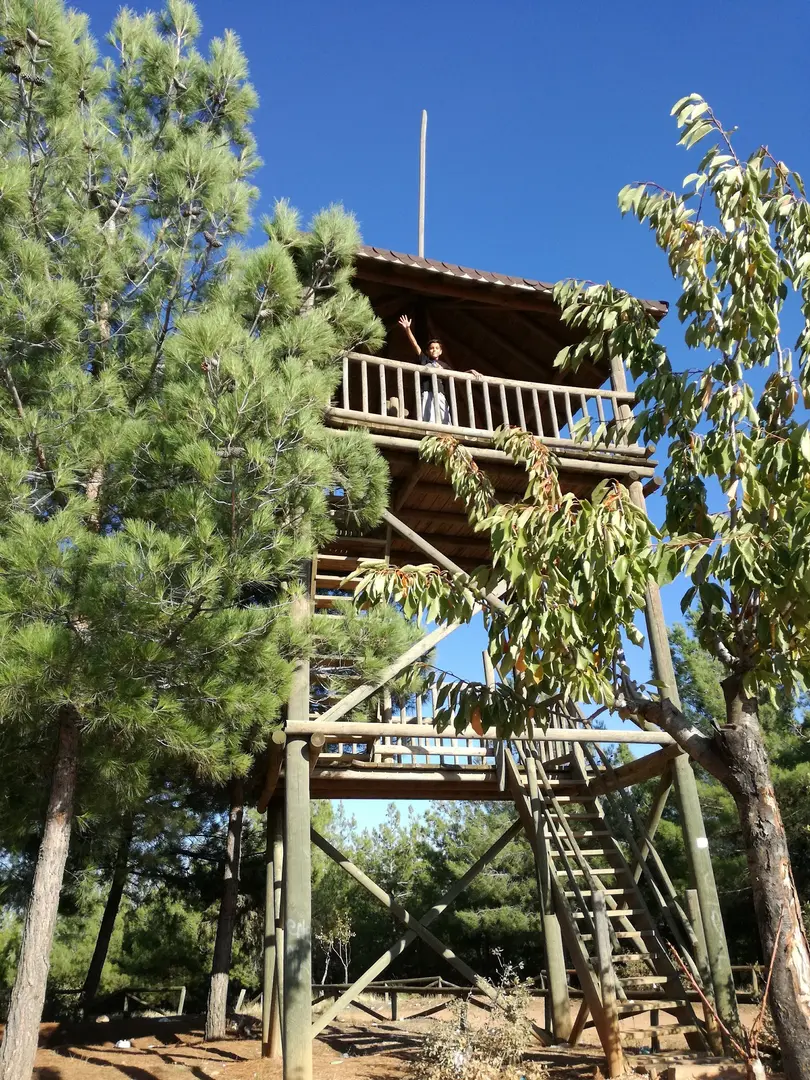 Uşak City Forest — Uşak — küçük resim 2