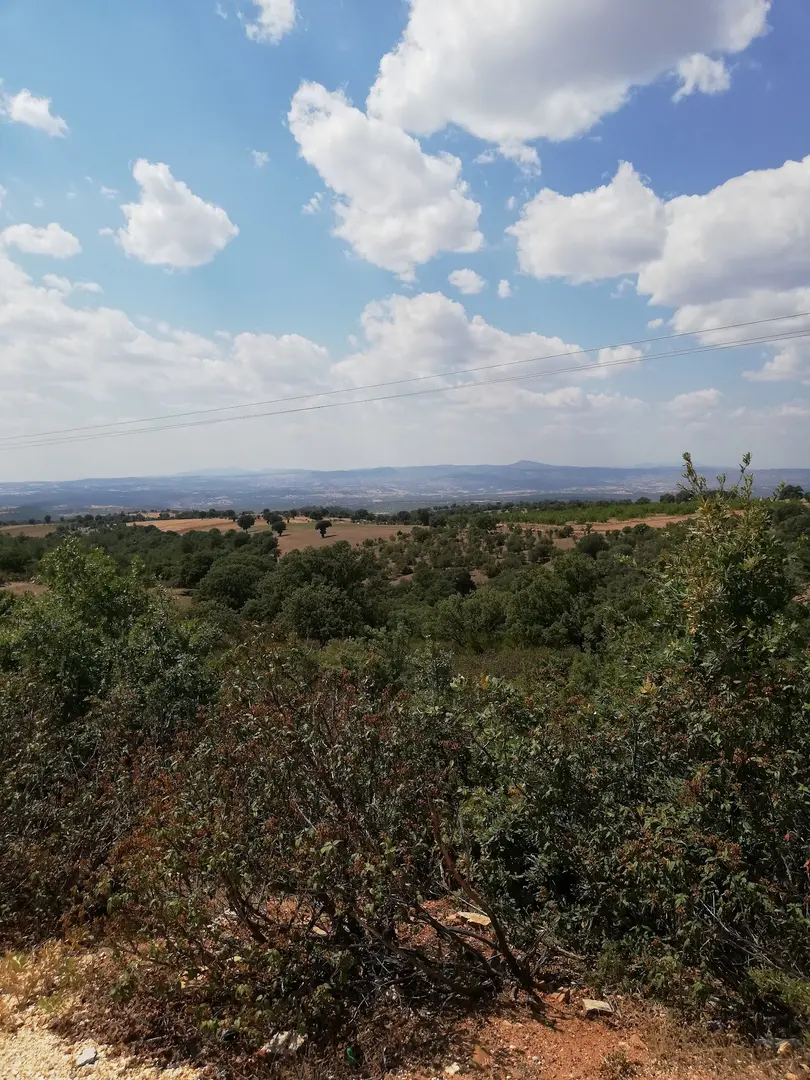 Uşak City Forest — Uşak — küçük resim 9