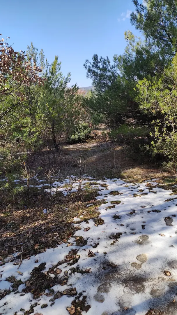 Uşak City Forest — Uşak — küçük resim 7