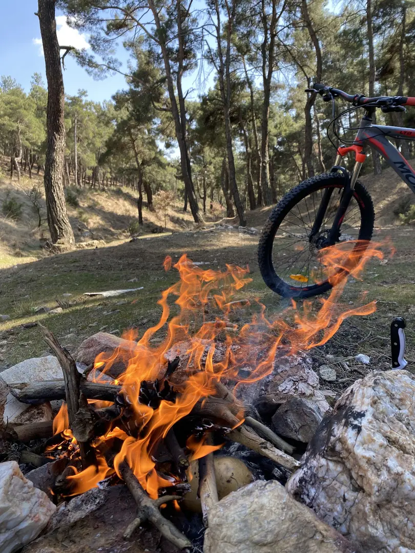 Uşak City Forest — Uşak — küçük resim 10