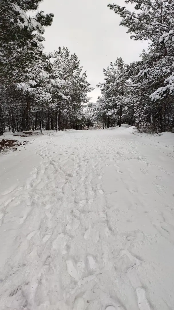Uşak City Forest — Uşak — küçük resim 4