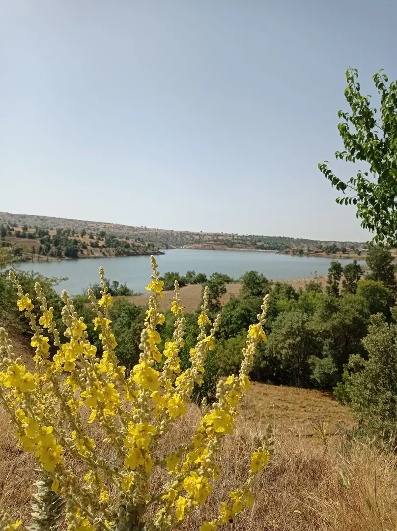 Selendi Gölbaşı Camping Area — Manisa — küçük resim 3