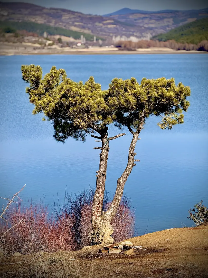 Göğem Zafer Nature Park — Uşak — küçük resim 7