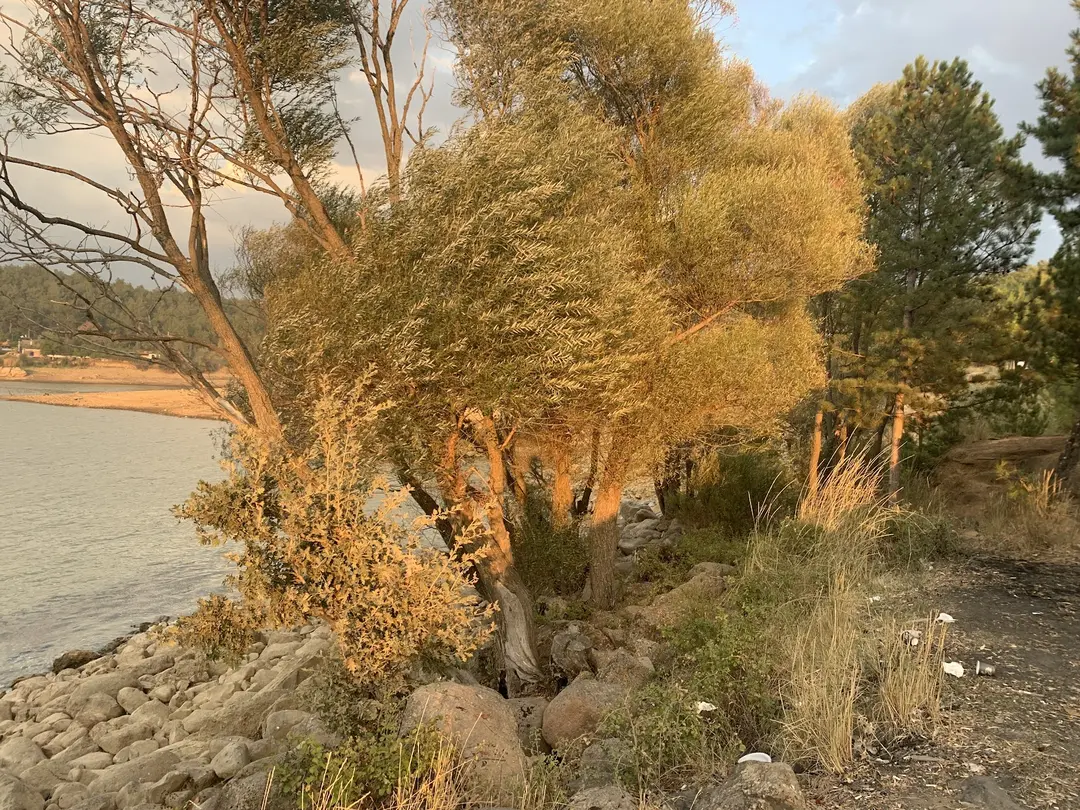 Göğem Lake — Uşak — küçük resim 2