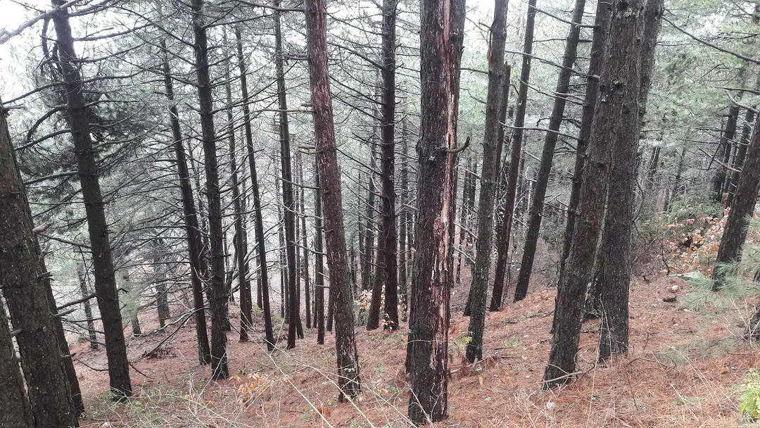 Gölcük Enduro Kamp Alanı — İzmir — küçük resim 8