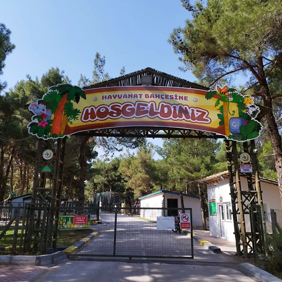 Akse Çamlığı — Uşak — küçük resim 3
