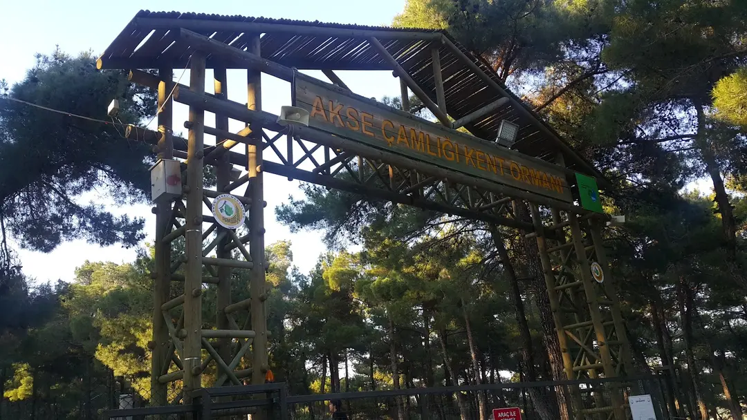 Akse Çamlığı — Uşak — küçük resim 9