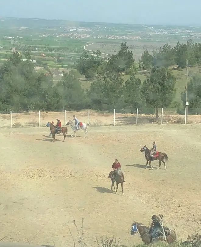 Akse Çamlığı — Uşak — küçük resim 8