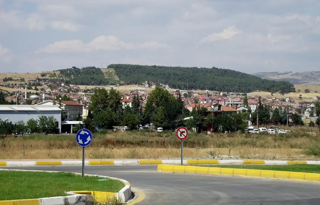 Akse Çamlığı — Uşak — küçük resim 5