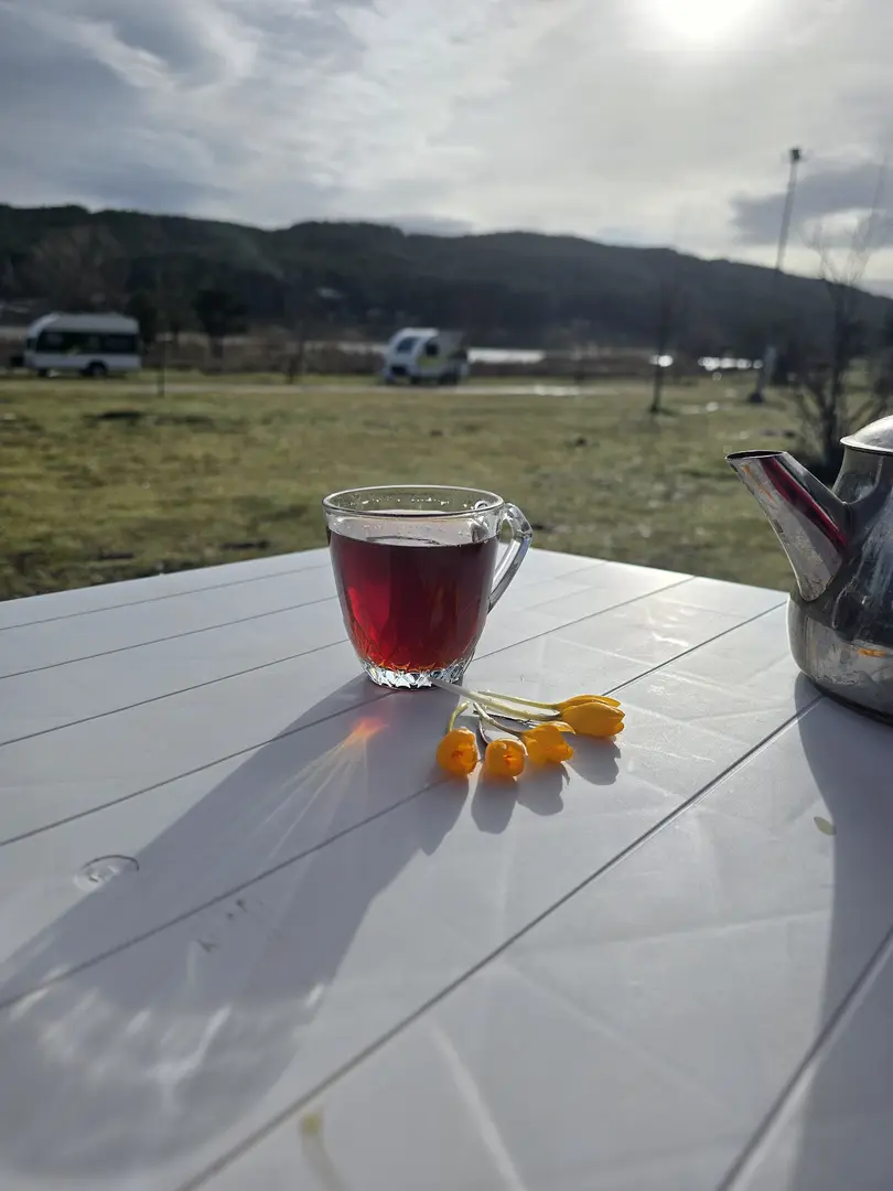 Gölcük Plateau Campingområde — Kütahya — küçük resim 4