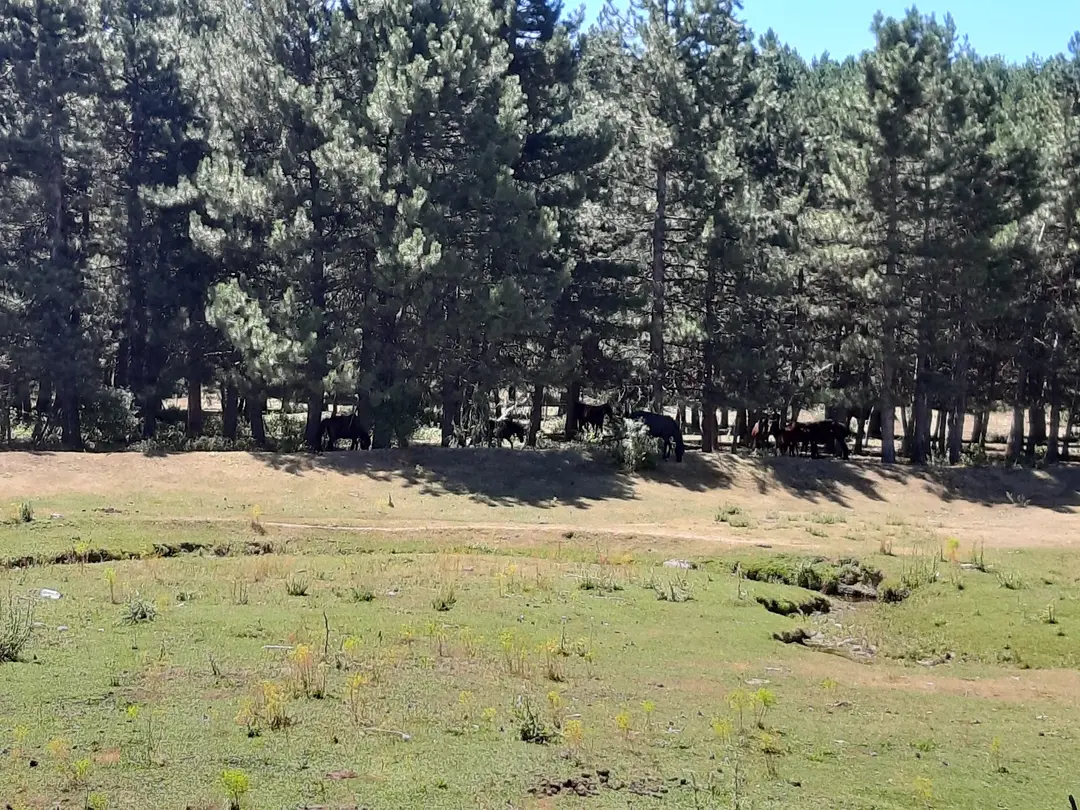 Akdağ National Park — Afyonkarahisar — küçük resim 9