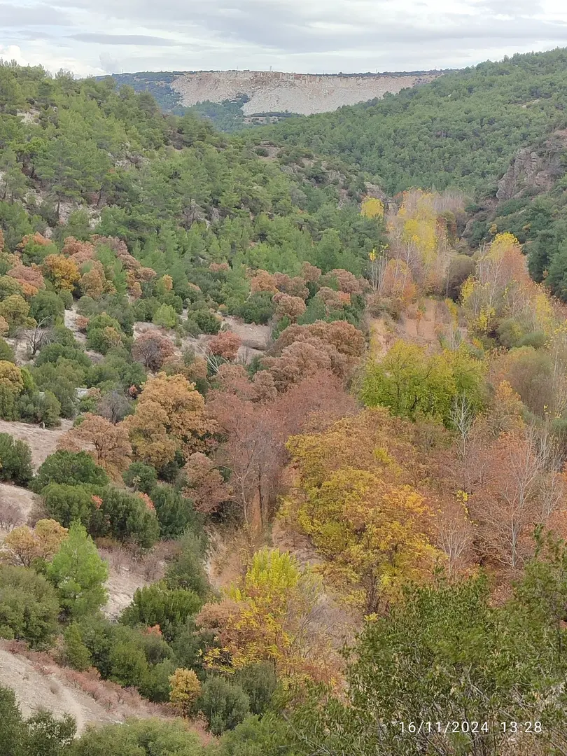 Pepuza Antik Kenti — Uşak — küçük resim 7